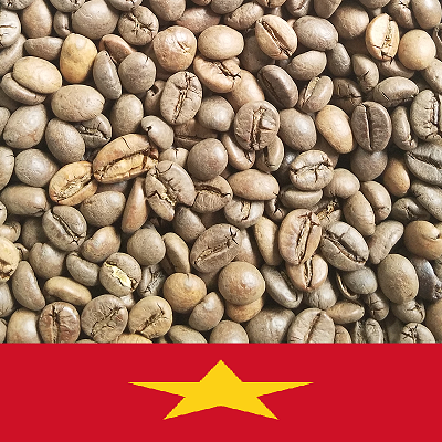 Vietnamese Robusta bold body extra caffine coffee